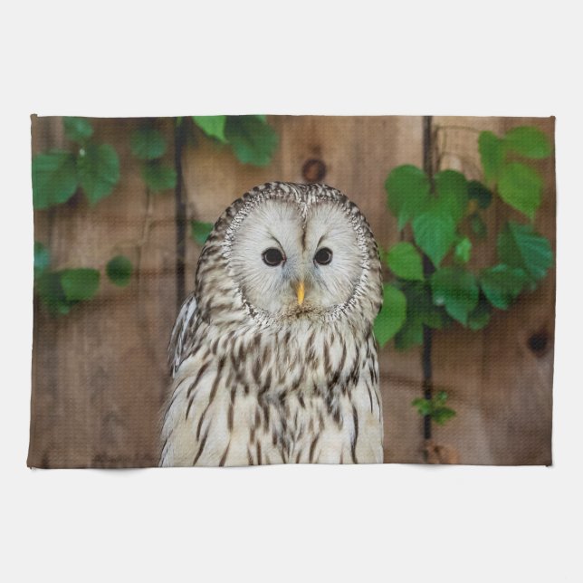 Barred Owl Towel (Horizontal)