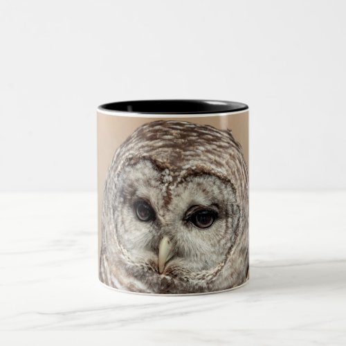 Barred Owl Two_Tone Coffee Mug