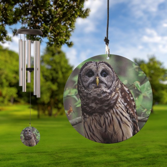 Barred Owl Wind Chime (Outdoor)