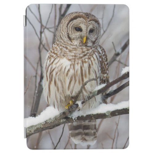 Barred Owl with a light snowfall iPad Air Cover