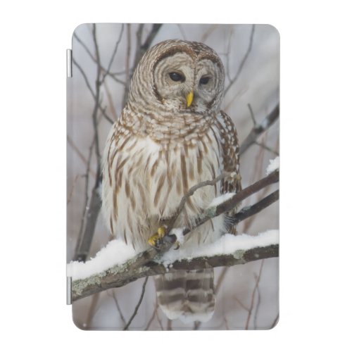 Barred Owl with a light snowfall iPad Mini Cover