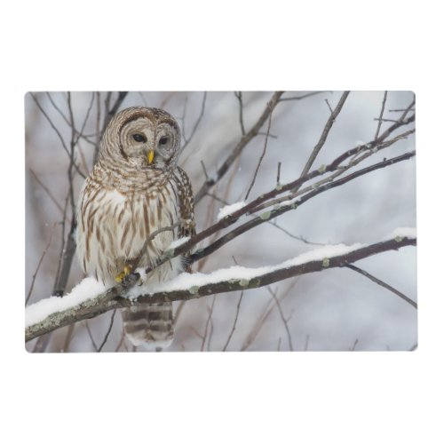 Barred Owl with a light snowfall Placemat