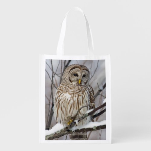 Barred Owl with a light snowfall Reusable Grocery Bag