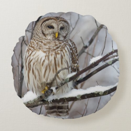 Barred Owl with a light snowfall Round Pillow