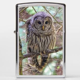 Barred Owl Zippo Lighter