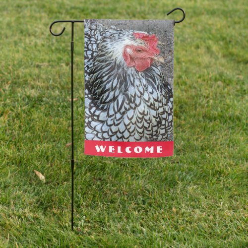 Barred Plymouth Rock Chicken Welcome Garden Flag