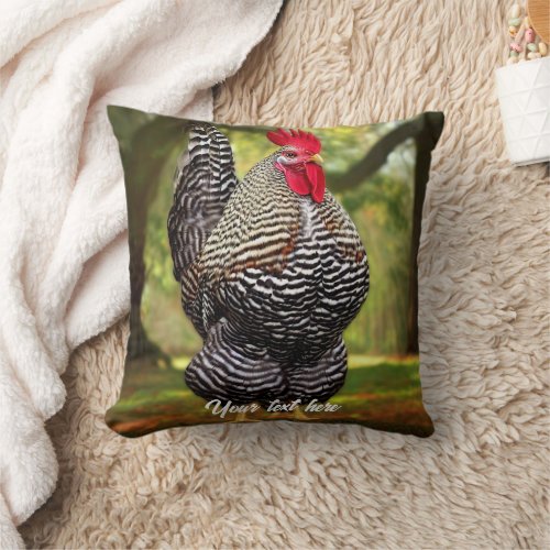 Barred Plymouth Rock Rooster Throw Pillow