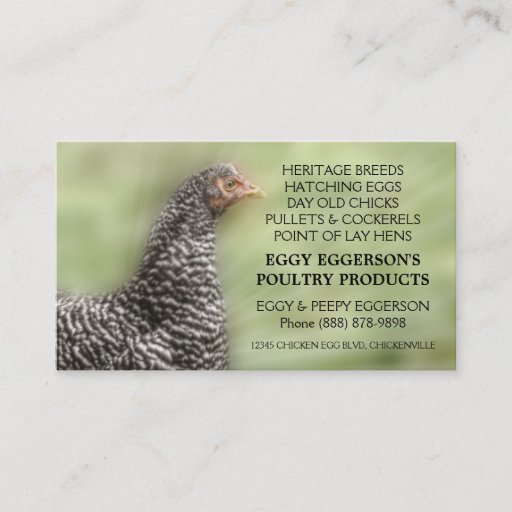 Customizable Barred Rock Chicken Egg Farmer Business Card Templates