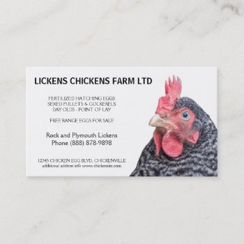 Barred Rock Chicken Egg Farmer Business Card by CountryCorner at Zazzle