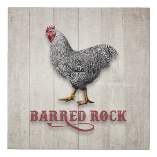Barred Rock Chicken Faux Canvas Print