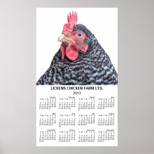 Barred Rock Chicken Wall Yearly Calender 2013 Poster