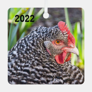 Barred Rock Hen - Pet Chicken Metal Ornament