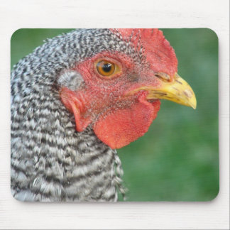Barred Rock Mouse Pad