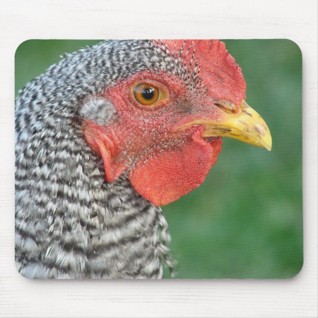 Barred Rock Mouse Pad (Front)