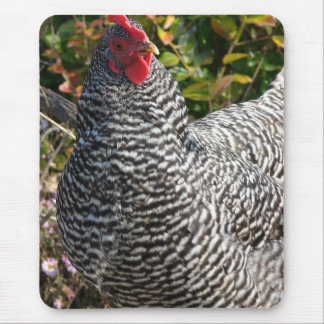 Barred Rock Mouse Pad