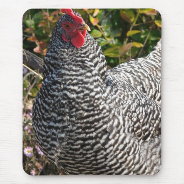 Barred Rock Mouse Pad (Front)