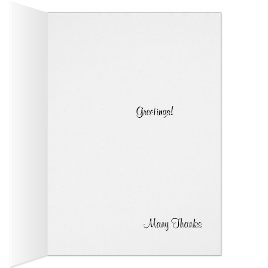 Barred Spiral Galaxy (Inside (Right))