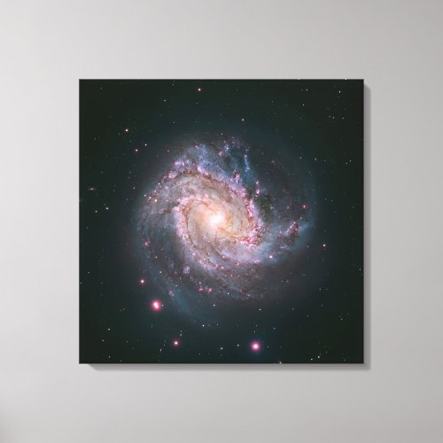 Barred Spiral Galaxy Messier 83 2 Canvas Print