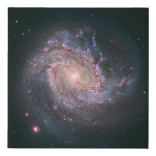 Barred Spiral Galaxy Messier 83. 2 Faux Canvas Print