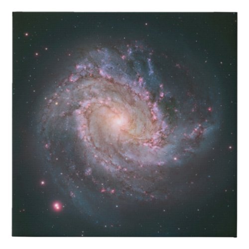 Barred Spiral Galaxy Messier 83 2 Faux Canvas Print