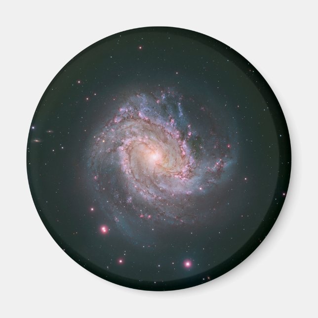 Barred Spiral Galaxy Messier 83. 2 Magnet (Front)