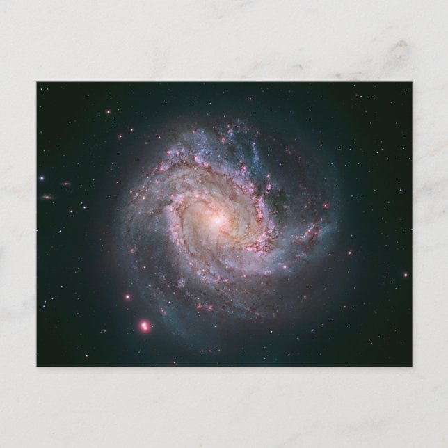 Barred Spiral Galaxy Messier 83. 2 Postcard (Front)