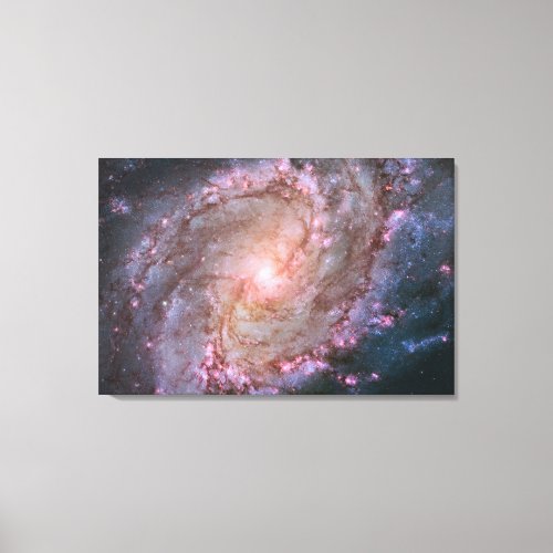 Barred Spiral Galaxy Messier 83 Canvas Print