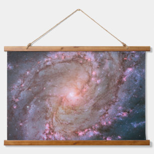 Barred Spiral Galaxy Messier 83. Hanging Tapestry