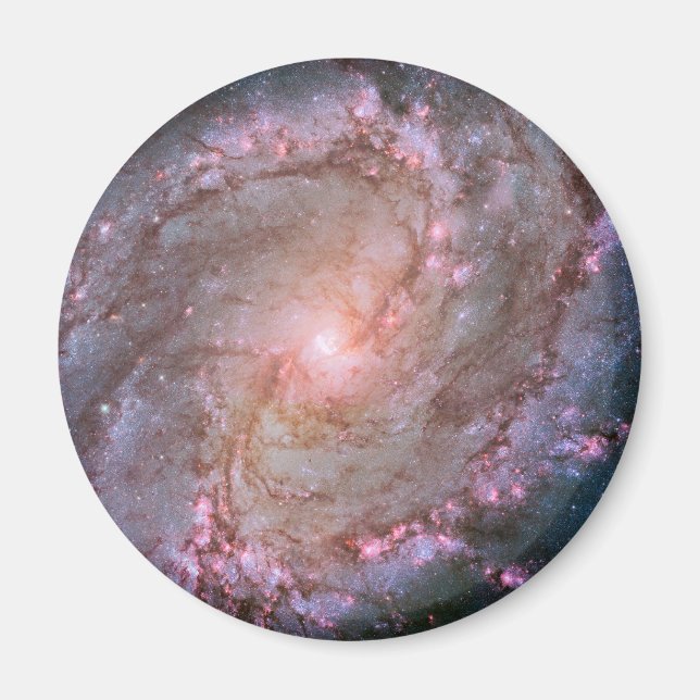 Barred Spiral Galaxy Messier 83. Magnet (Front)