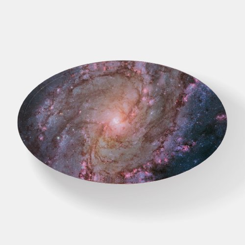 Barred Spiral Galaxy Messier 83 Paperweight