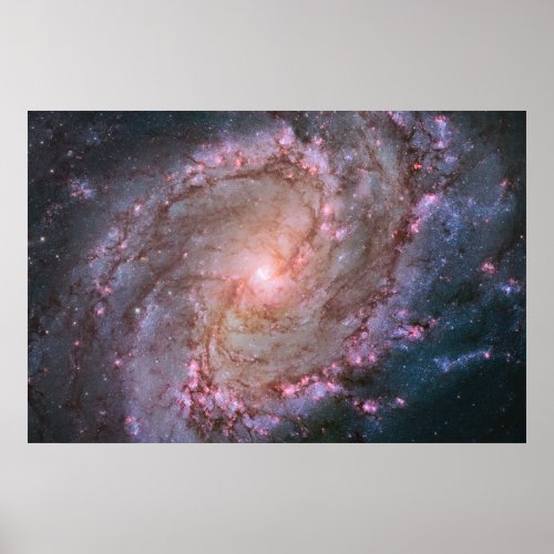 Barred Spiral Galaxy Messier 83 Poster