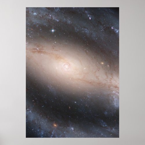 Barred Spiral Galaxy NGC 1300 Poster