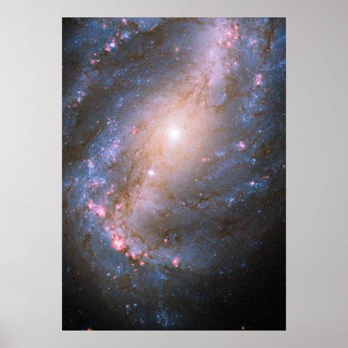 Barred Spiral Galaxy NGC 6217 Poster