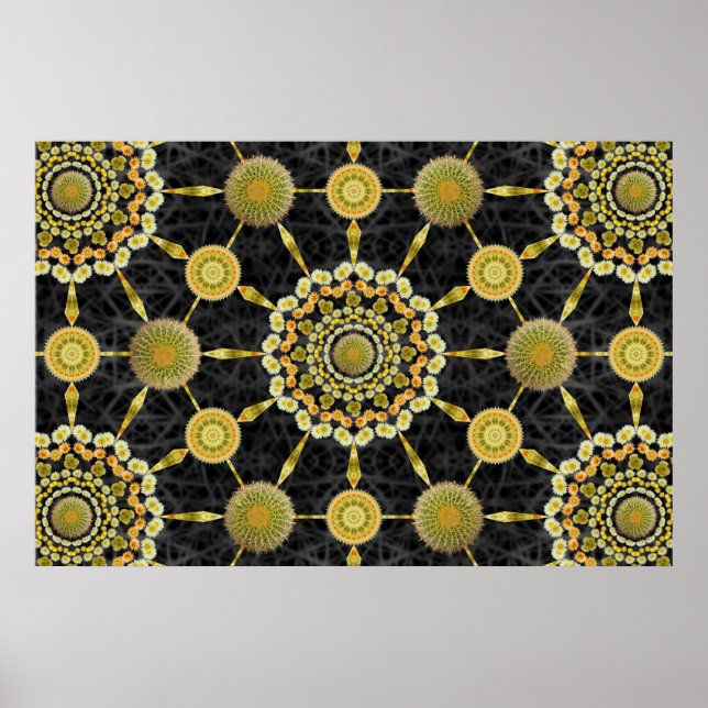 Barrel Cactus Array 1 Poster (Front)