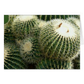 Barrel Cactus Blank Card (Front Horizontal)