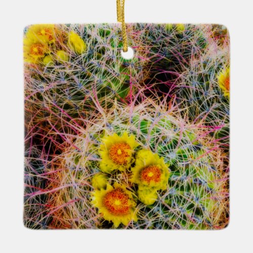 Barrel cactus close up California Ceramic Ornament