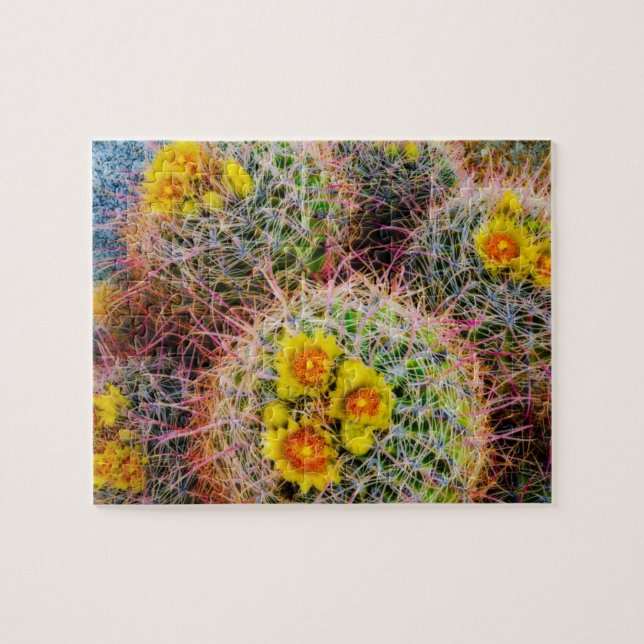 Barrel cactus close up, California Jigsaw Puzzle (Horizontal)