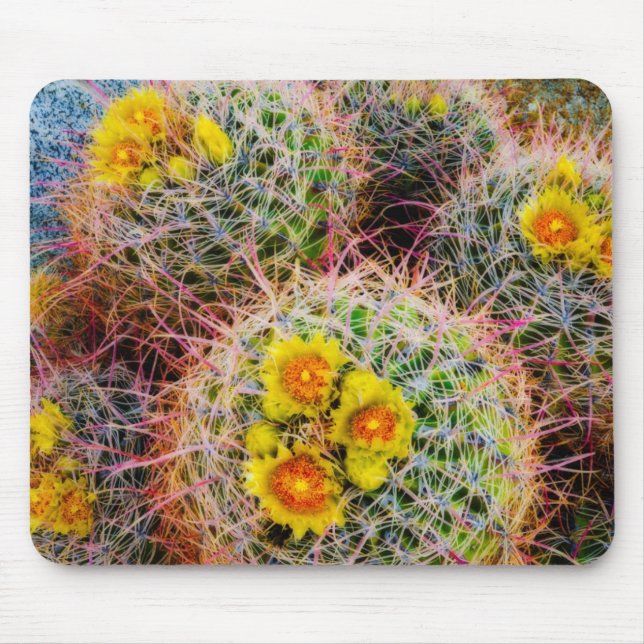 Barrel cactus close up, California Mouse Pad (Front)
