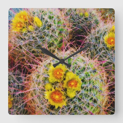 Barrel cactus close up California Square Wall Clock