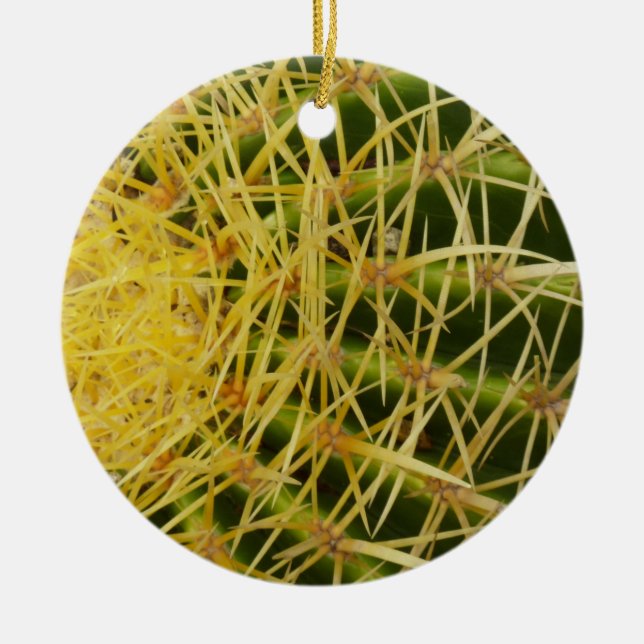 Barrel Cactus Closeup Abstract Nature Photography Ceramic Ornament (Front)