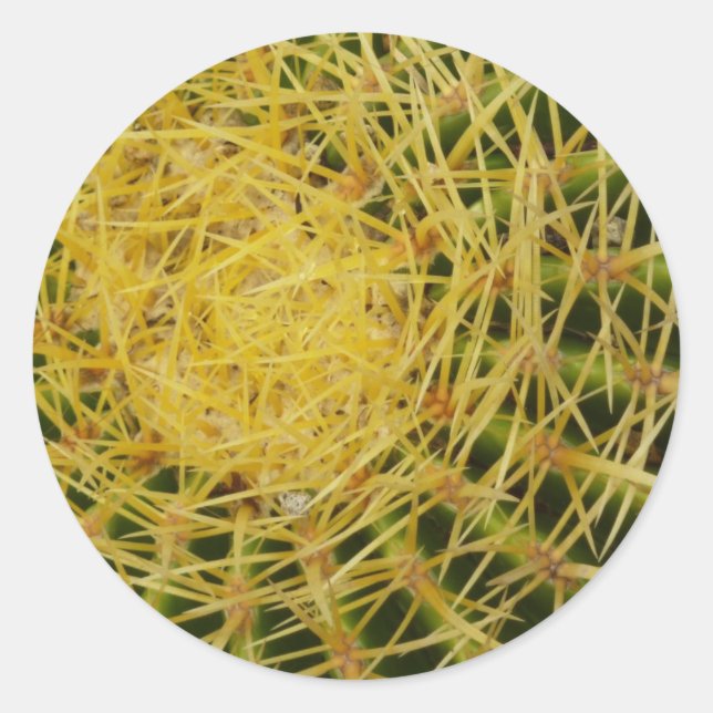 Barrel Cactus Closeup Abstract Nature Photography Classic Round Sticker (Front)