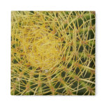 Barrel Cactus Closeup Abstract Nature Photography Magnet