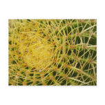 Barrel Cactus Closeup Abstract Nature Photography Postcard