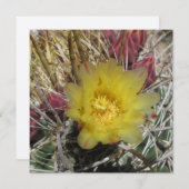 Barrel Cactus Fishhook Yellow (Front/Back)