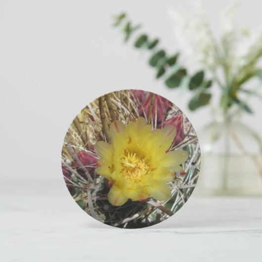 Barrel Cactus Fishhook Yellow (Standing Front)