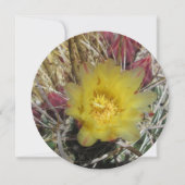 Barrel Cactus Fishhook Yellow (Front)