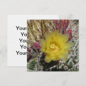 Barrel Cactus Fishhook Yellow (Front/Back)