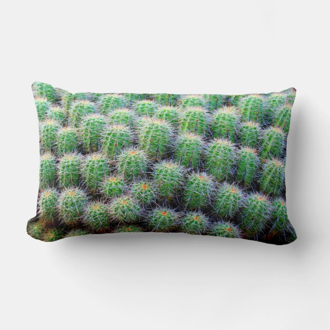 barrel cactus green pillow (Front)