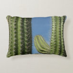 Barrel Cactus I Desert Photo Accent Pillow