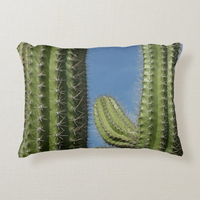 Barrel Cactus I Desert Photo Accent Pillow (Front)
